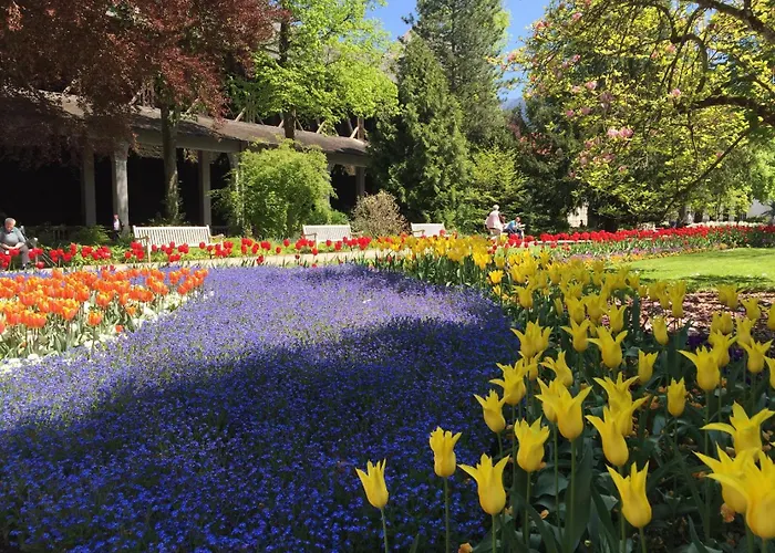 アパート Am Kurpark - Bahnhofstrasse 21 バートライヘンハル